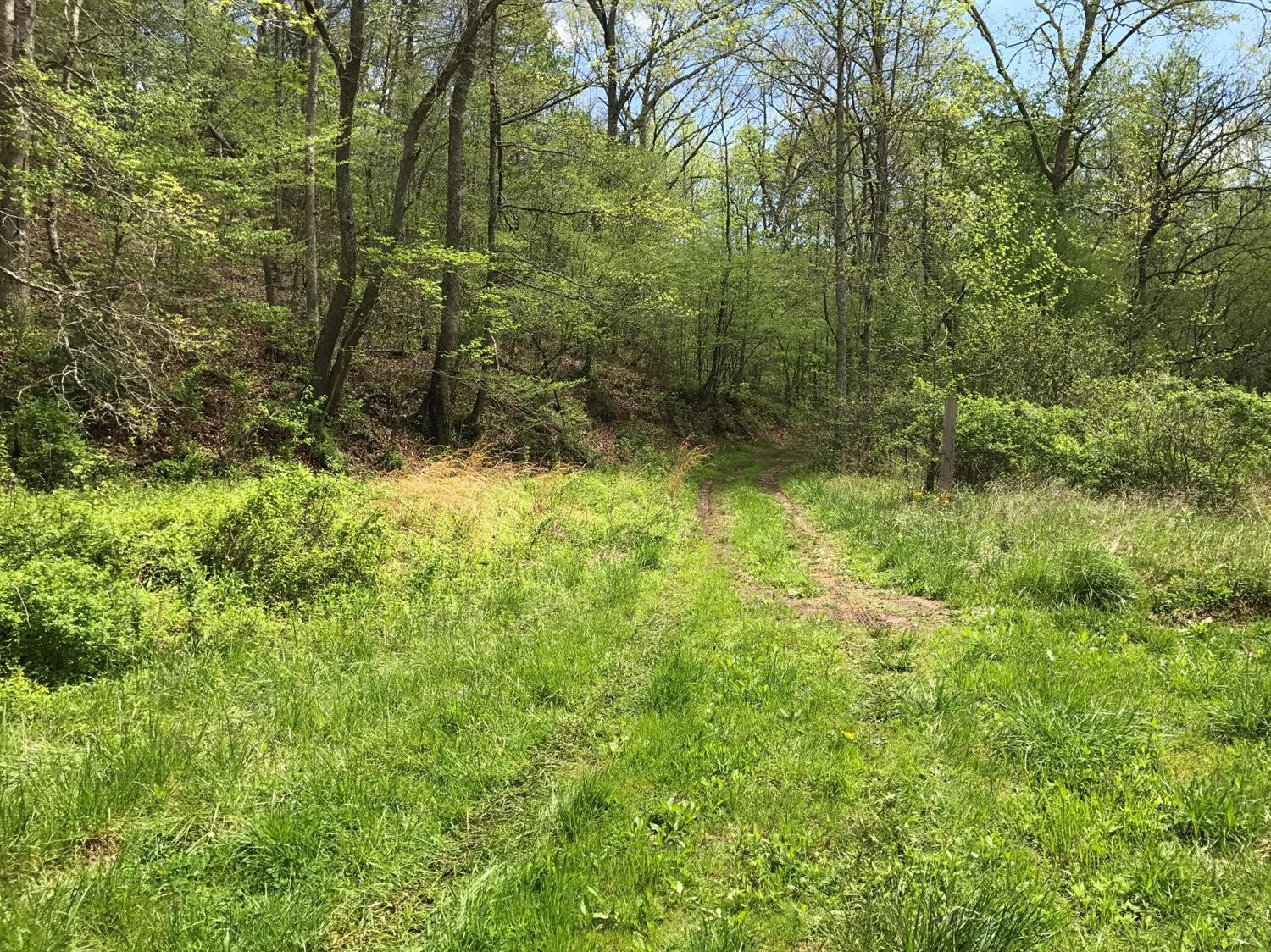 1000 Terrells Creek Road Manchester, KY 40962 - Photo 4 of 4 Photo 5
