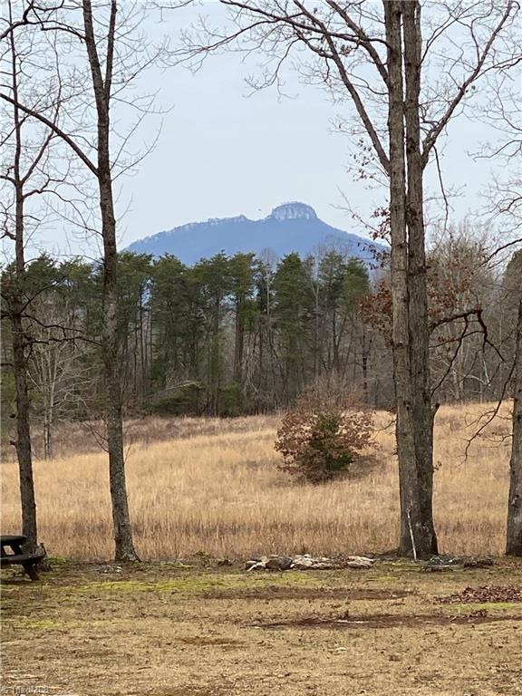 304 Trinity Church Road King, NC 27021 - Photo 3 of 30