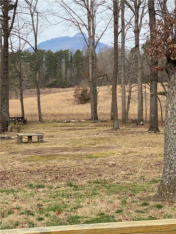304 Trinity Church Road King, NC 27021 - Photo 7 of 30