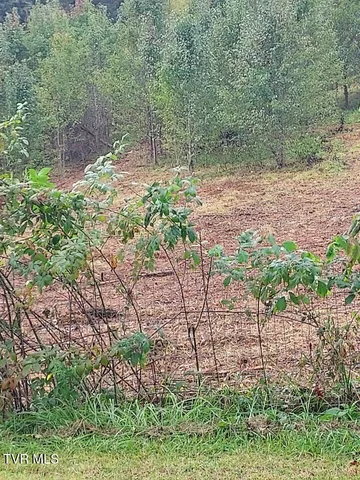 $87,000 | 11w West Highway 11W, Unit 5 022, Surgoinsville, TN 37873