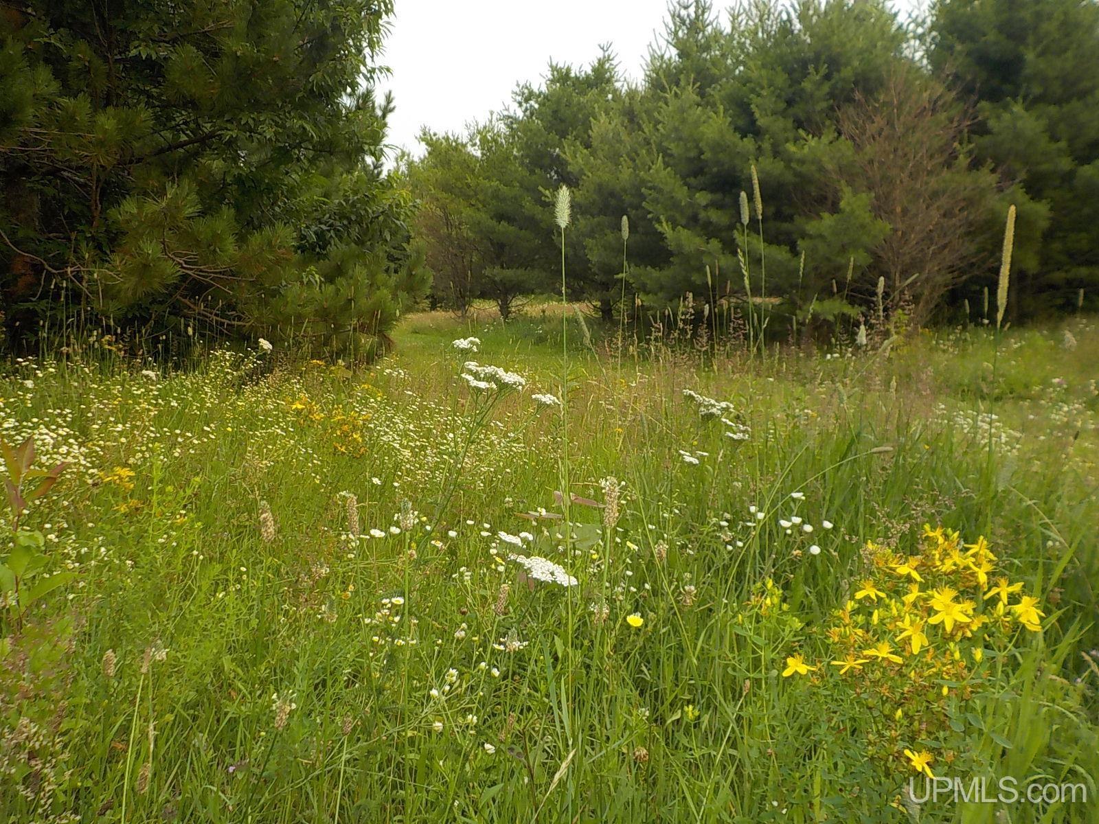 285 Clark Road Crystal Falls, MI 49920 - Photo 68 of 77 Gallery Image 68