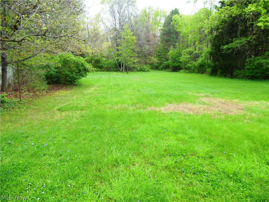 6511 Chapel Road Madison, OH 44057 - Photo 22 of 22 Backyard