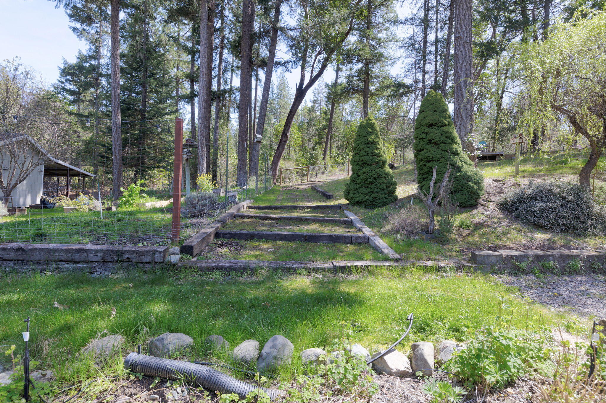 4241 Hugo Road Merlin, OR 97532 - Photo 23 of 40 12-web-or-mls-4241-hugo-rd
