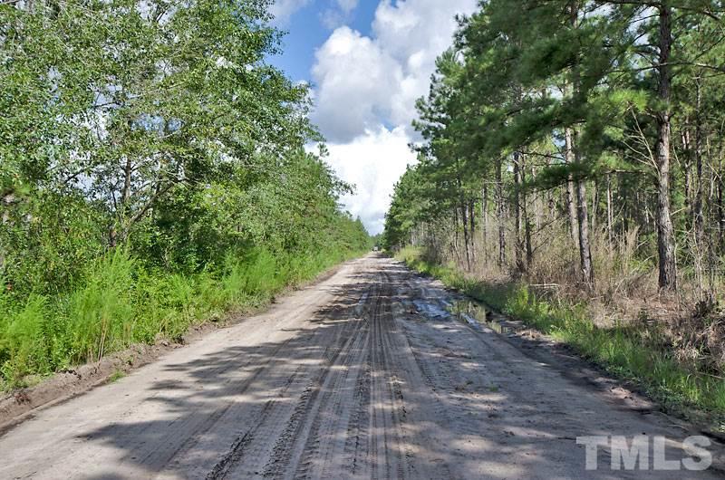 Elwell Ferry Road Council, NC 28434 - Photo 12 of 12