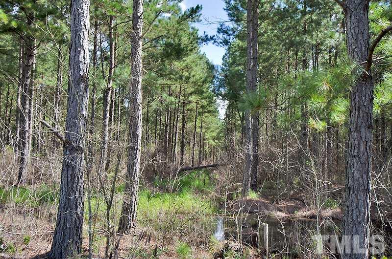 Elwell Ferry Road Council, NC 28434 - Photo 3 of 12