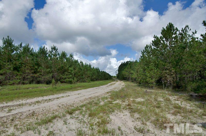 Elwell Ferry Road Council, NC 28434 - Photo 5 of 12