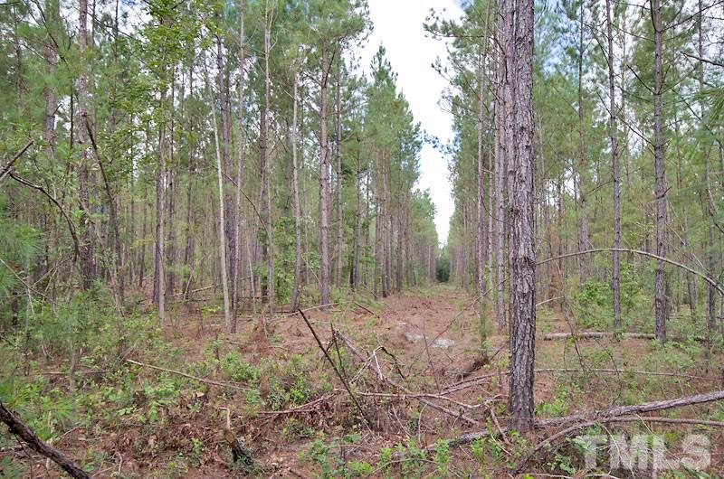 Elwell Ferry Road Council, NC 28434 - Photo 9 of 12