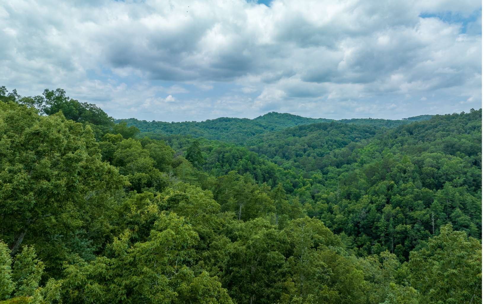 Additional View