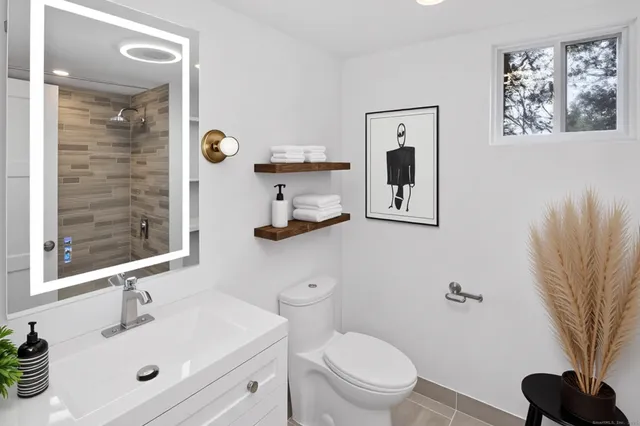 a bathroom with a toilet a sink and mirror