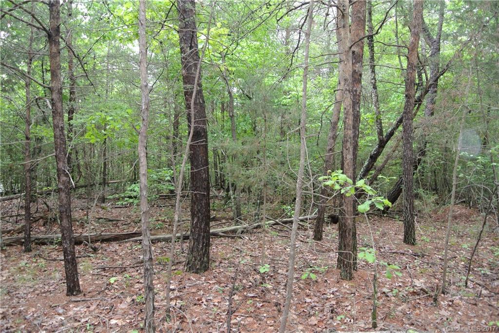 1-ac Lot Island View Circle, Unit B Fort Mill, SC 29708 - Photo 1 of 5 Gallery Image 1