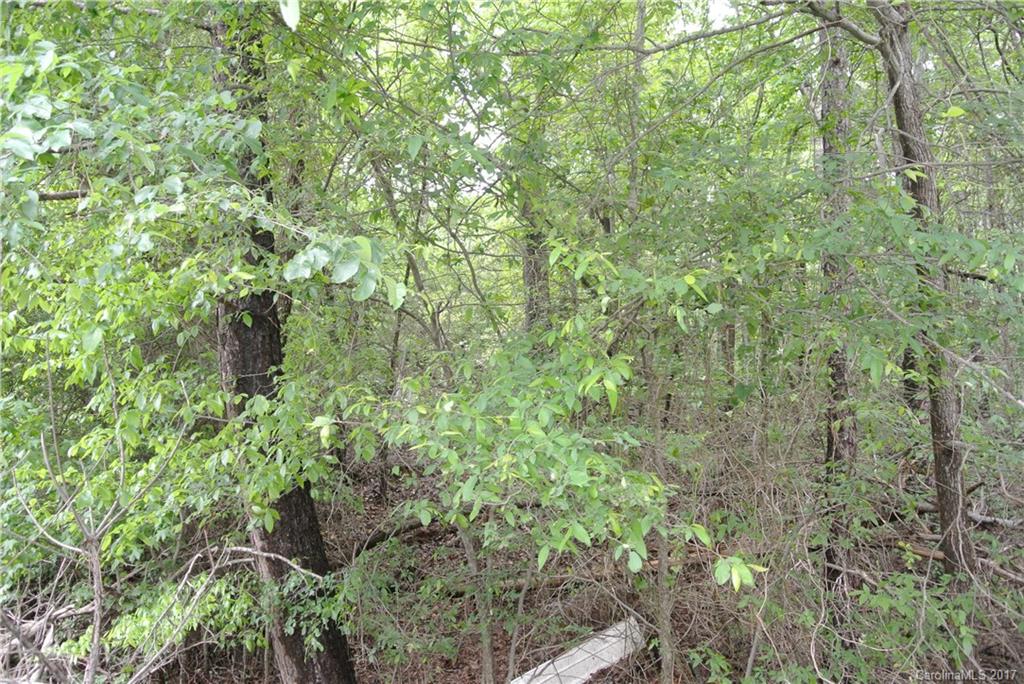 1-ac Lot Island View Circle, Unit B Fort Mill, SC 29708 - Photo 3 of 5 Gallery Image 3