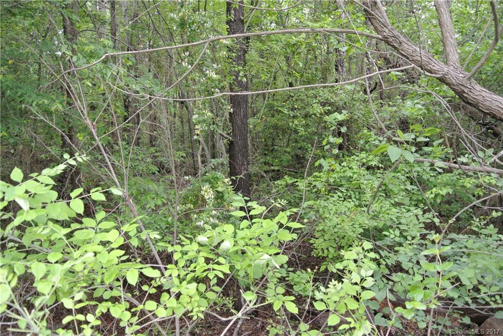1-ac Lot Island View Circle, Unit B Fort Mill, SC 29708 - Photo 4 of 5 Gallery Image 4
