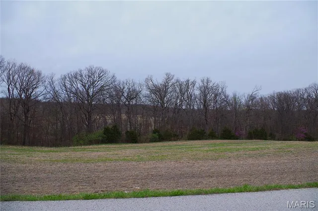 $227,500 | 0 Quarry Road, Silex, MO 63377
