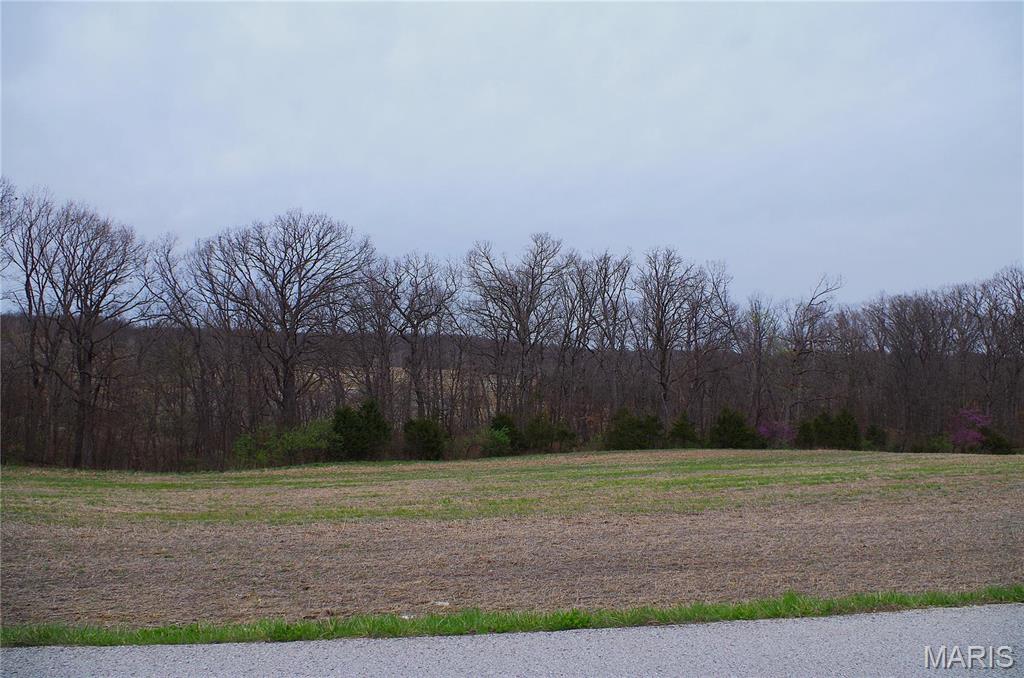 0 Quarry Road Silex, MO 63377 - Photo 2 of 5