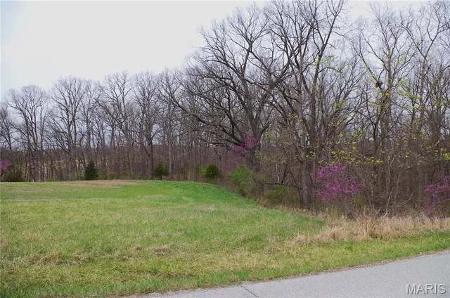 $227,500 | 0 Quarry Road, Silex, MO 63377