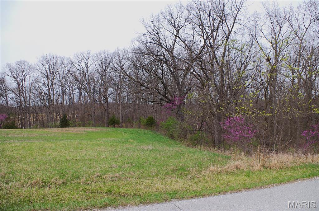 0 Quarry Road Silex, MO 63377 - Photo 3 of 5