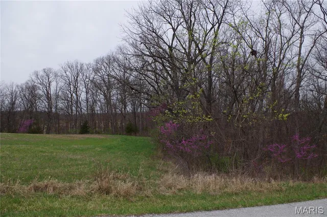 $227,500 | 0 Quarry Road, Silex, MO 63377