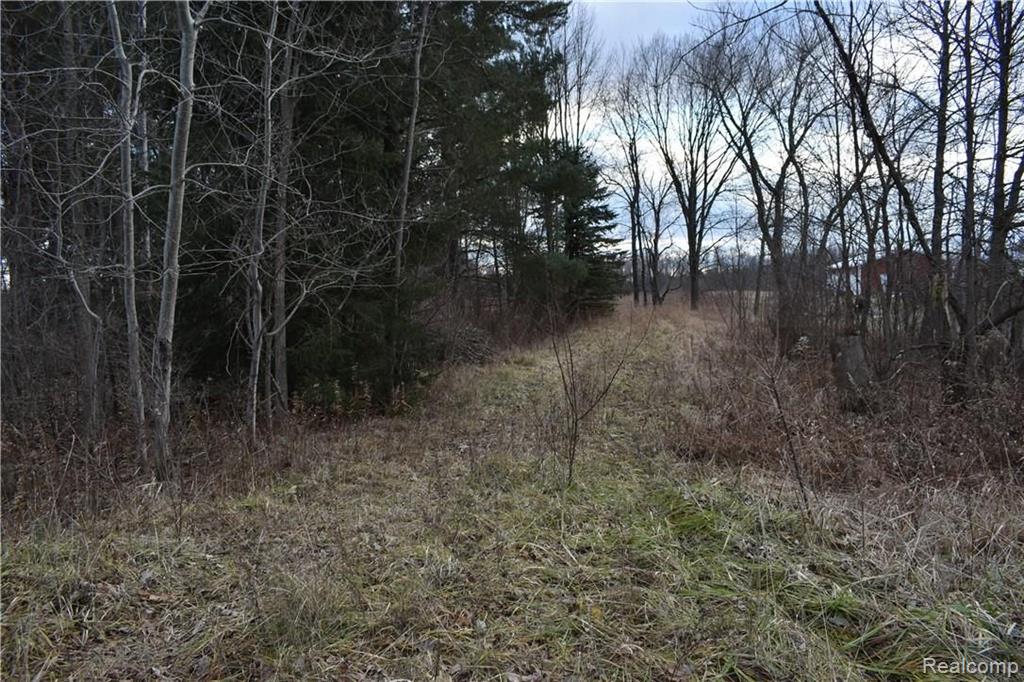 5238 Ostrom Road Attica, MI 48412 - Photo 5 of 8 Gallery Image 5