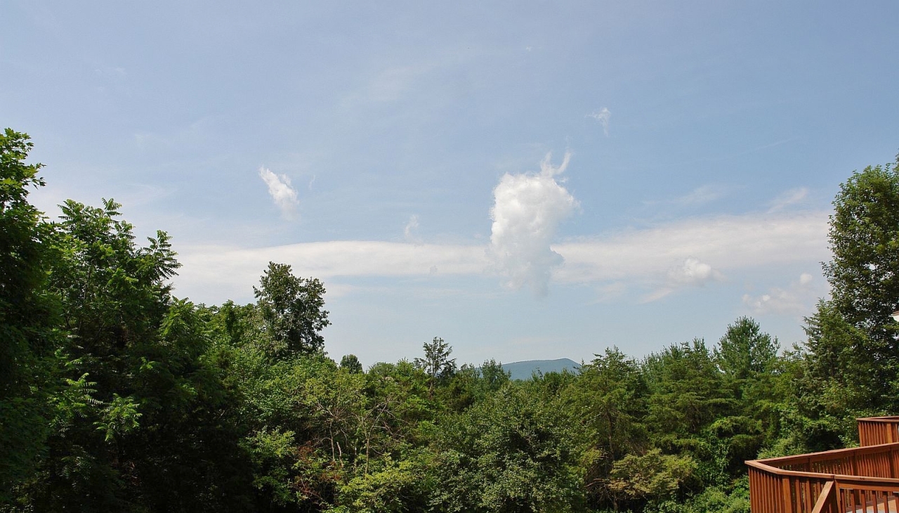 436 Brunswick Forge Road Troutville, VA 24175 - Photo 24 of 31 dsc00741