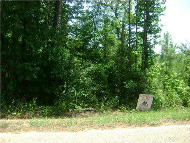 0 Rose Hill Road Mendenhall, MS 39114 - Photo 1 of 1 Photo 1
