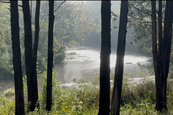 a view of livingroom with furniture