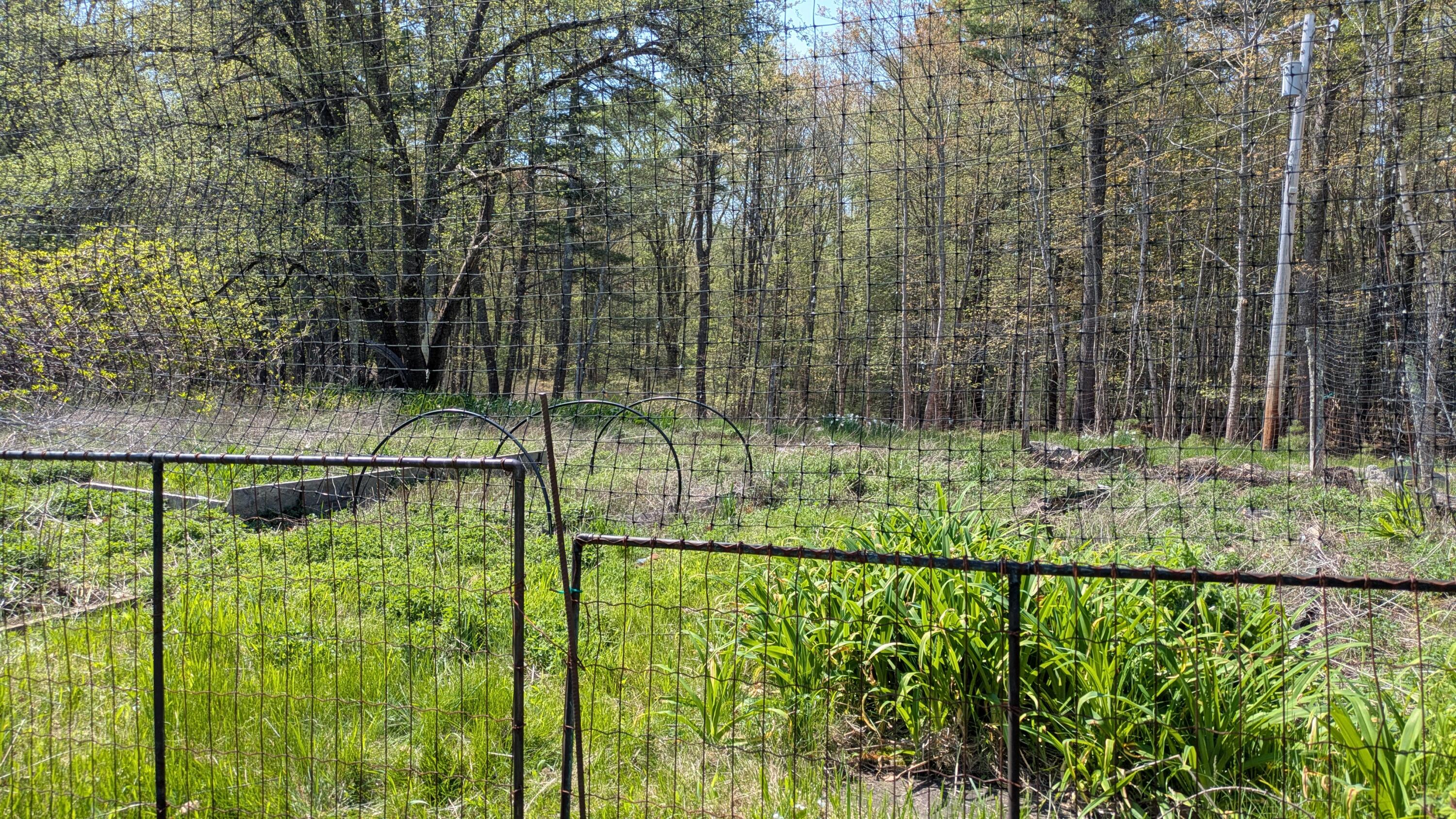 43 Flying Point Road Georgetown, ME 04548 - Photo 62 of 64 PXL_20260519_143025248