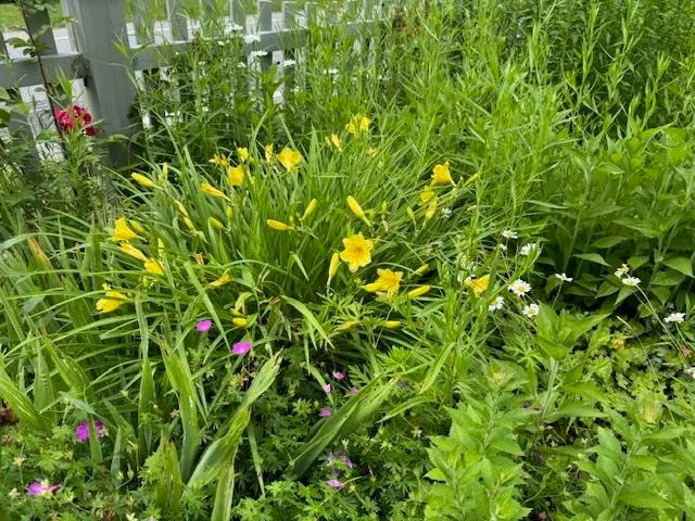 $820,000 | 565 Main Street, Warren, VT 05674