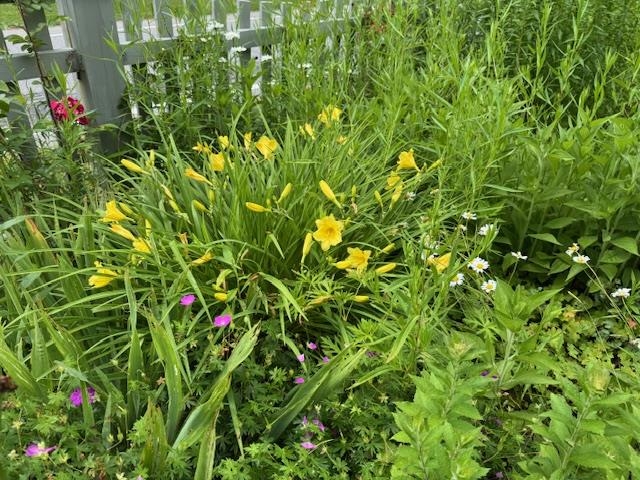 565 Main Street Warren, VT 05674 - Photo 42 of 48