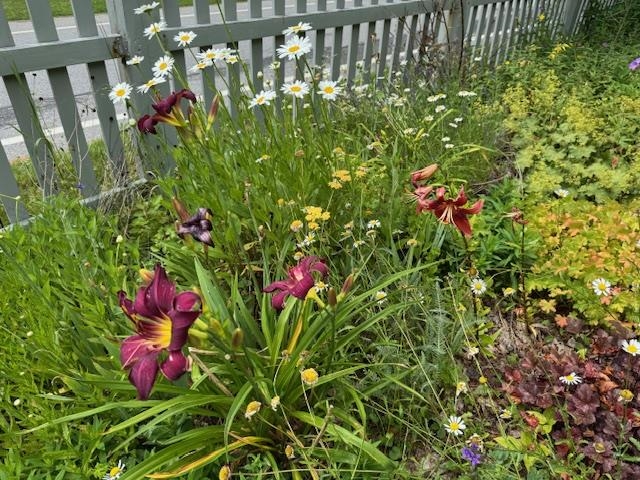 565 Main Street Warren, VT 05674 - Photo 44 of 48