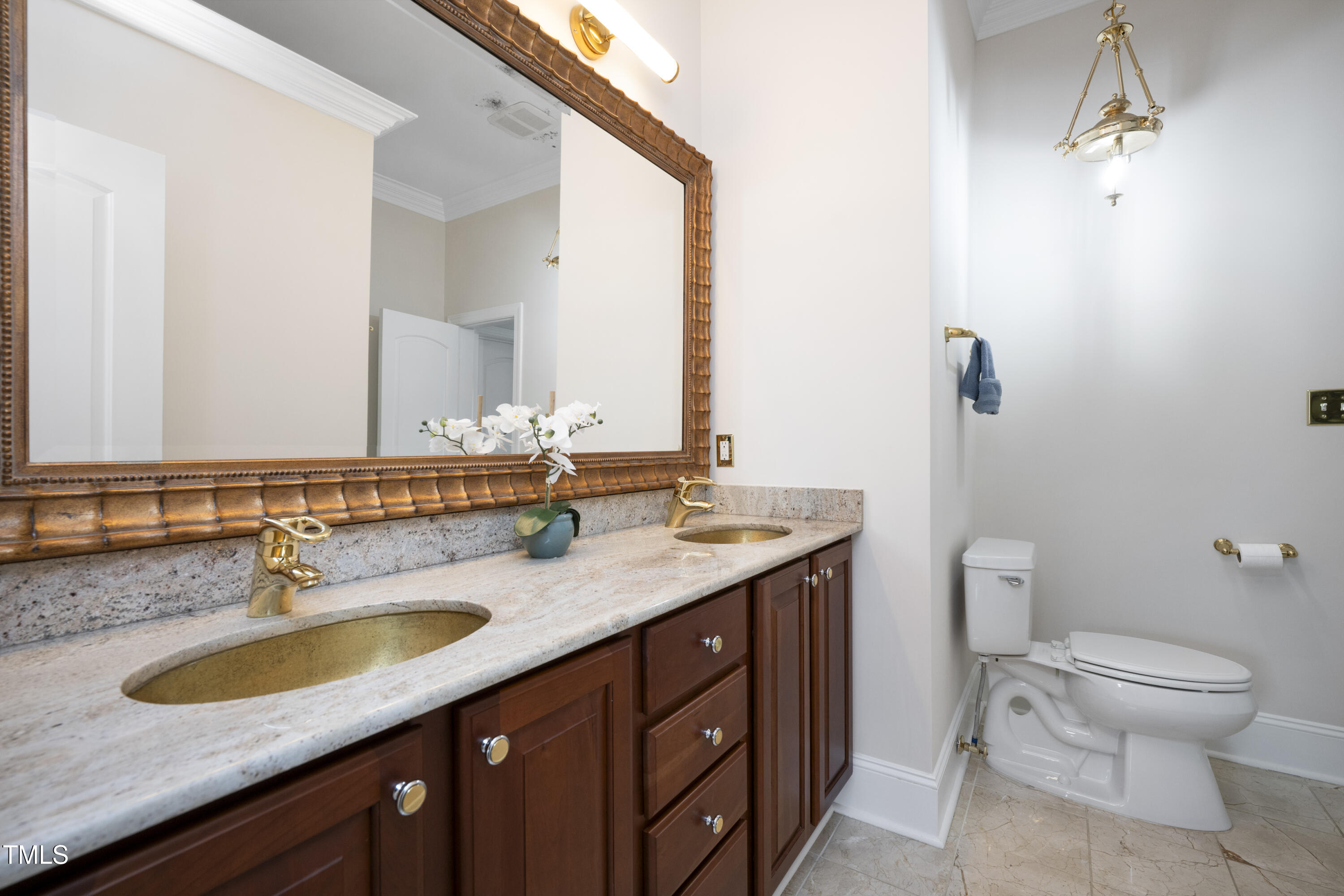 9820 Debnam Road Zebulon, NC 27597 - Photo 44 of 68 a bathroom with a granite countertop sink a toilet and a mirror