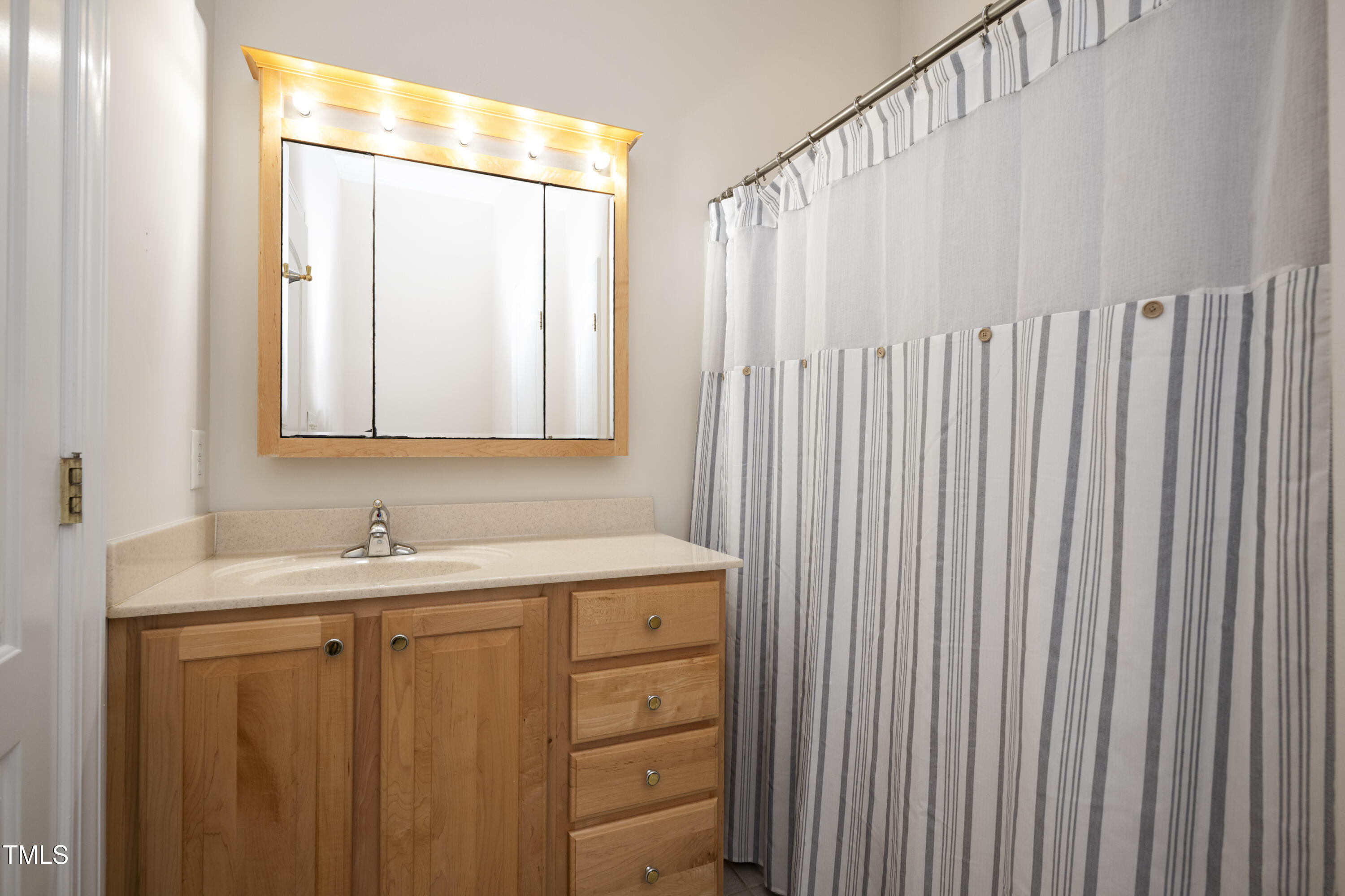 9820 Debnam Road Zebulon, NC 27597 - Photo 47 of 68 a bathroom with a sink and a mirror