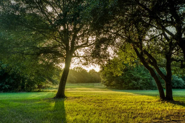 $3,650,000 | 1585 Round Top Road, Round Top, TX 78954