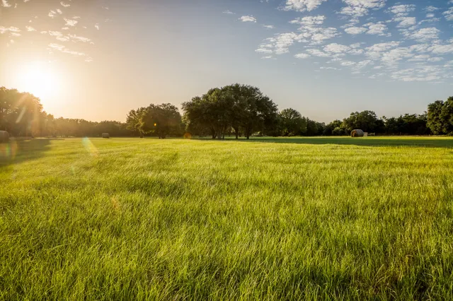 $3,650,000 | 1585 Round Top Road, Round Top, TX 78954