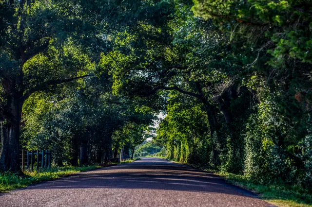 $3,650,000 | 1585 Round Top Road, Round Top, TX 78954