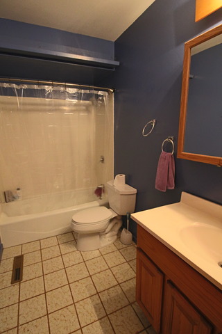 620 Southgate Road New Lenox, IL 60451 - Photo 7 of 23
