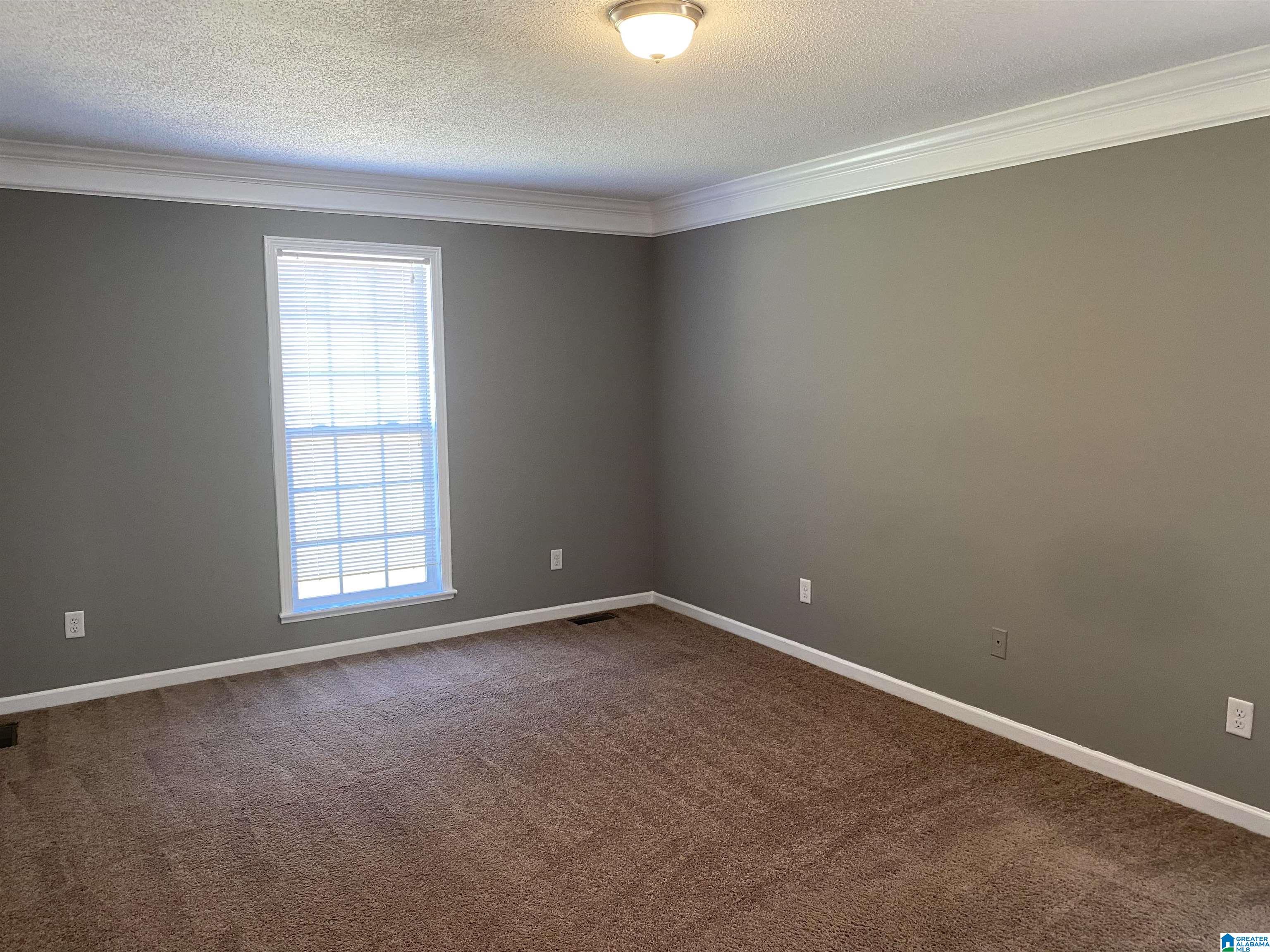 248 South Hillcrest Road Odenville, AL 35120 - Photo 7 of 20
