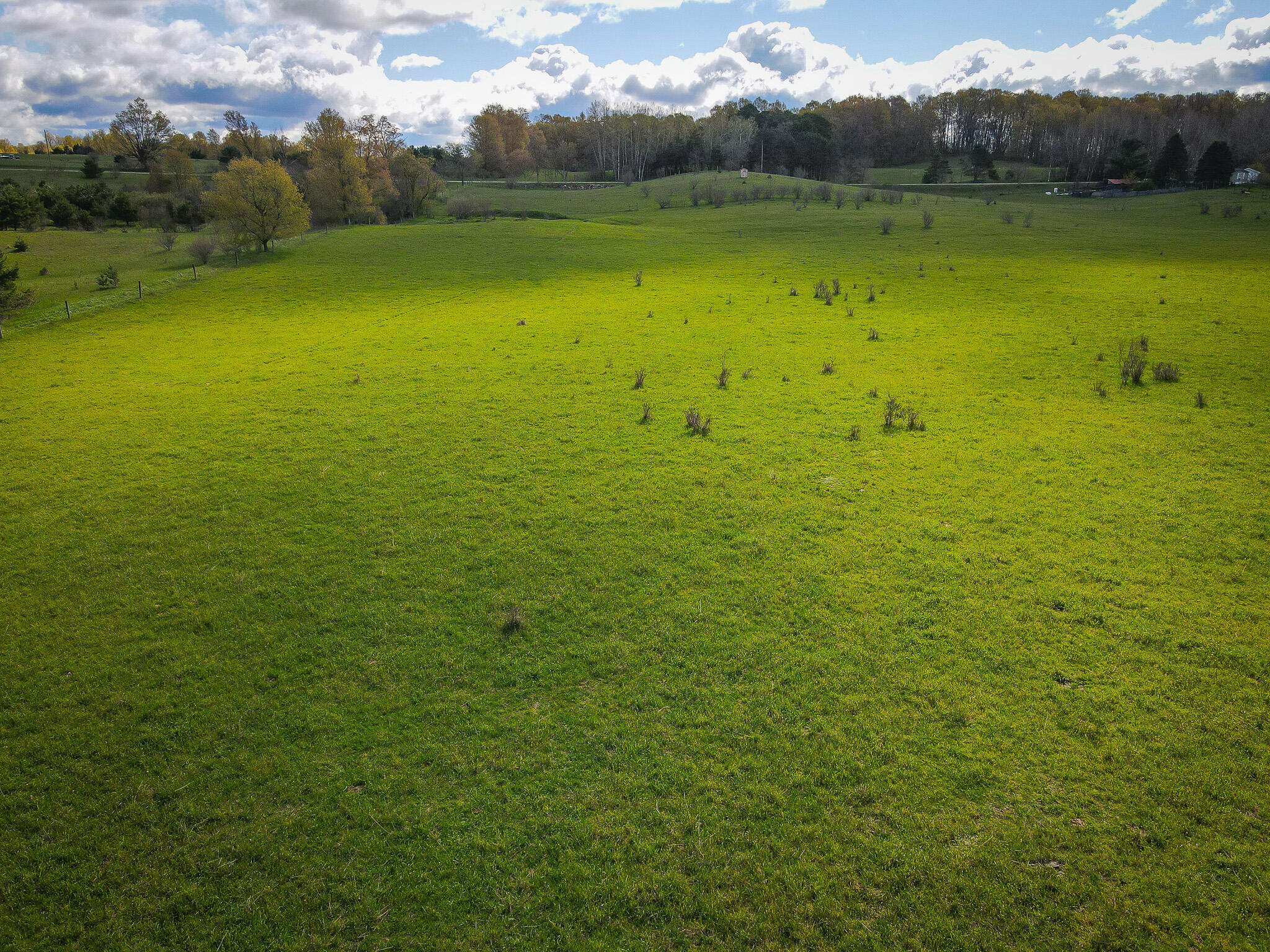 V/l South 230th Avenue Reed City, MI 49677 - Photo 11 of 38 DJI_0018
