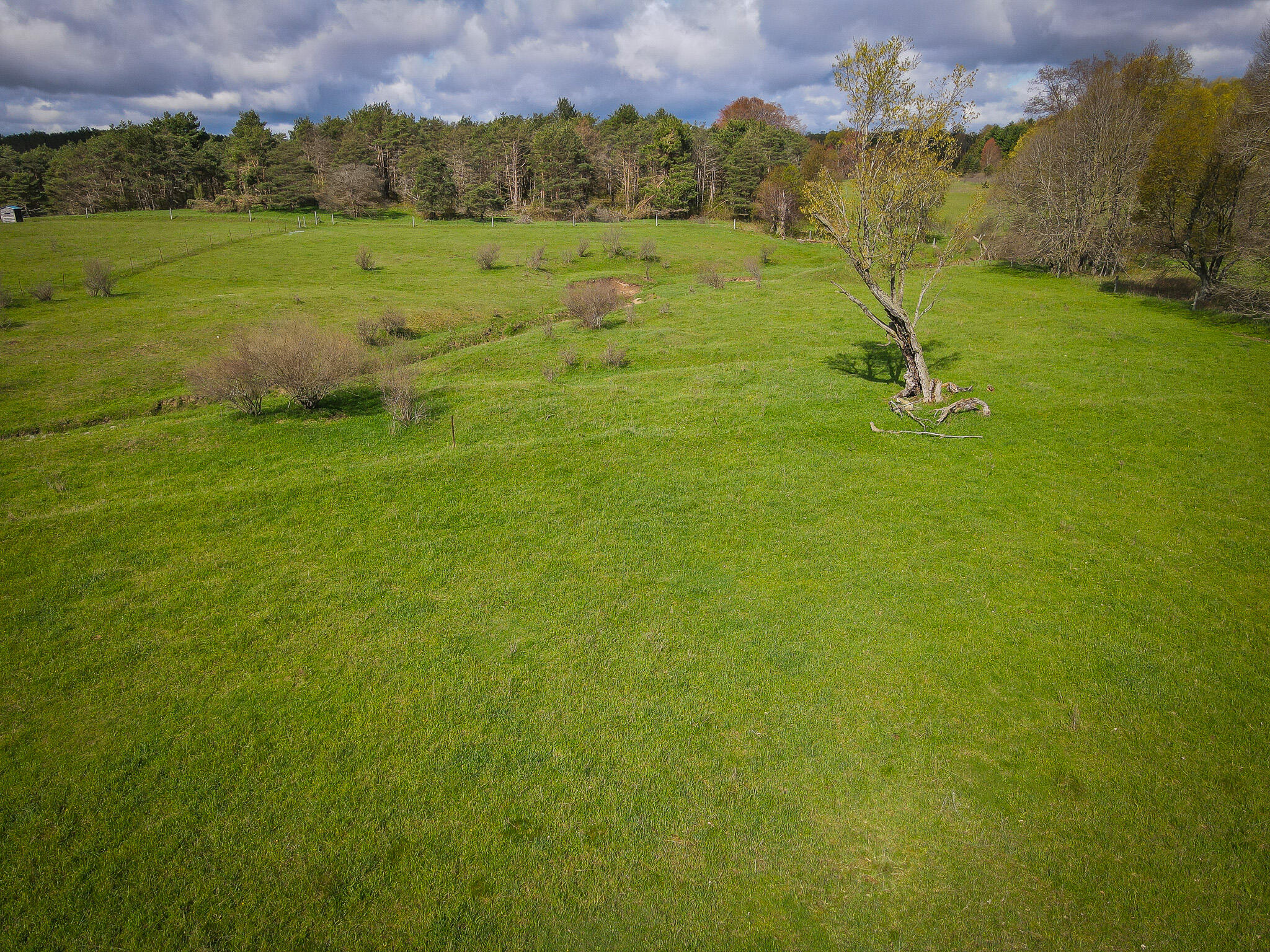 V/l South 230th Avenue Reed City, MI 49677 - Photo 13 of 38 DJI_0020
