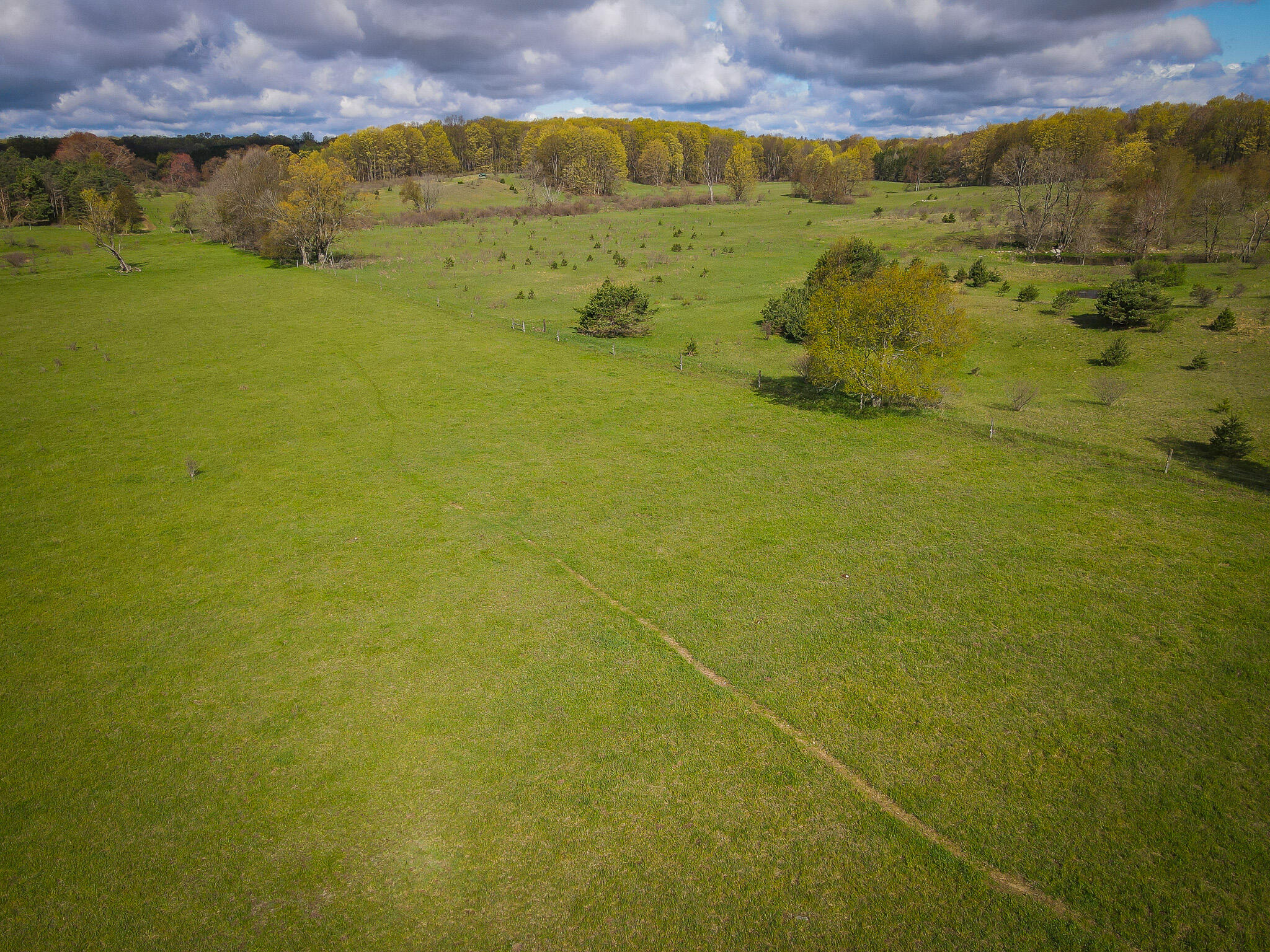 V/l South 230th Avenue Reed City, MI 49677 - Photo 16 of 38 DJI_0024