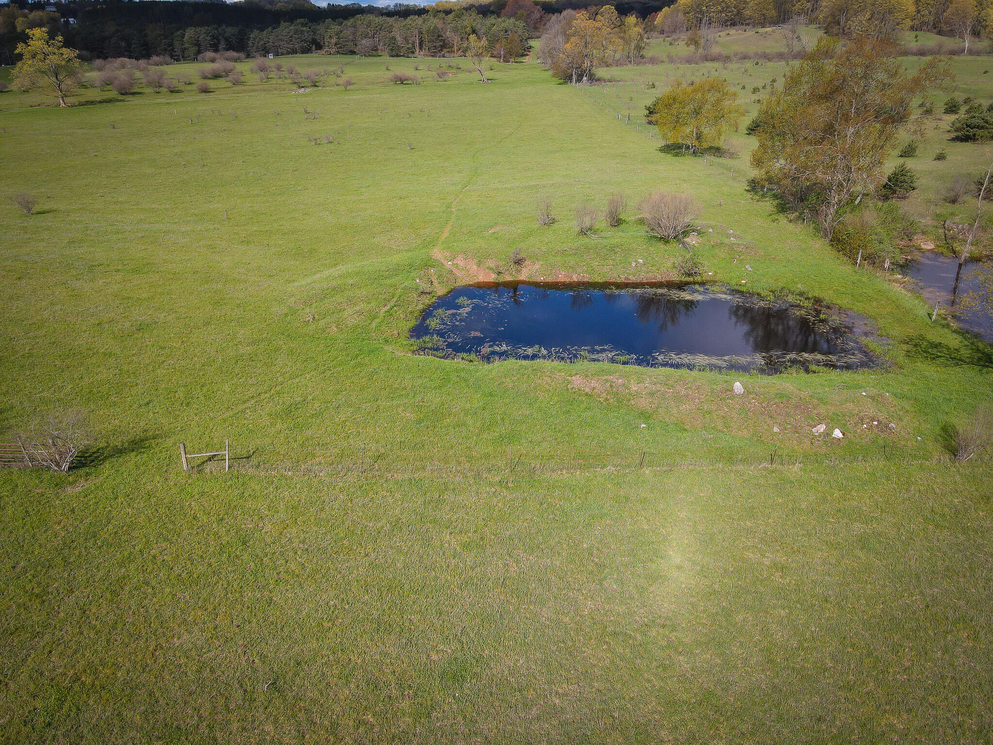 V/l South 230th Avenue Reed City, MI 49677 - Photo 17 of 38 DJI_0025
