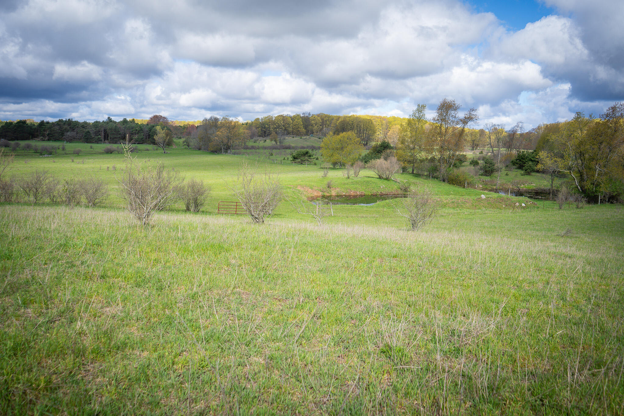 V/l South 230th Avenue Reed City, MI 49677 - Photo 23 of 38 DSC08152