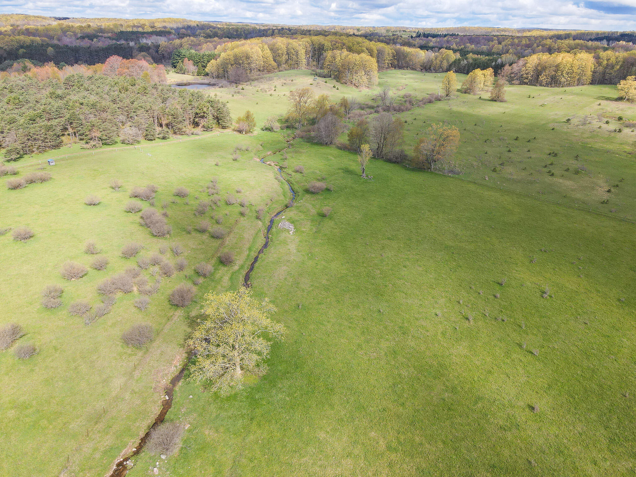 V/l South 230th Avenue Reed City, MI 49677 - Photo 3 of 38 DJI_0005