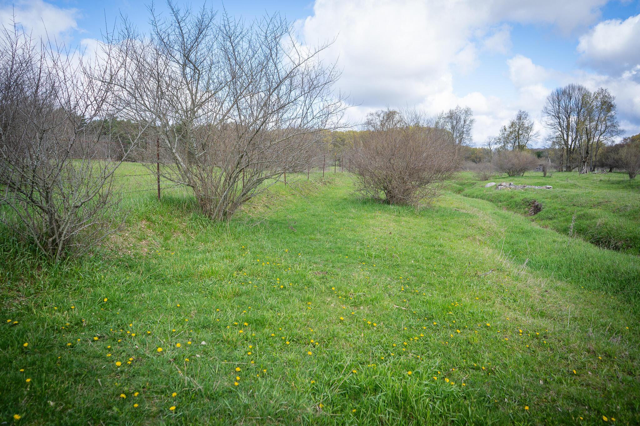 V/l South 230th Avenue Reed City, MI 49677 - Photo 32 of 38 DSC08168