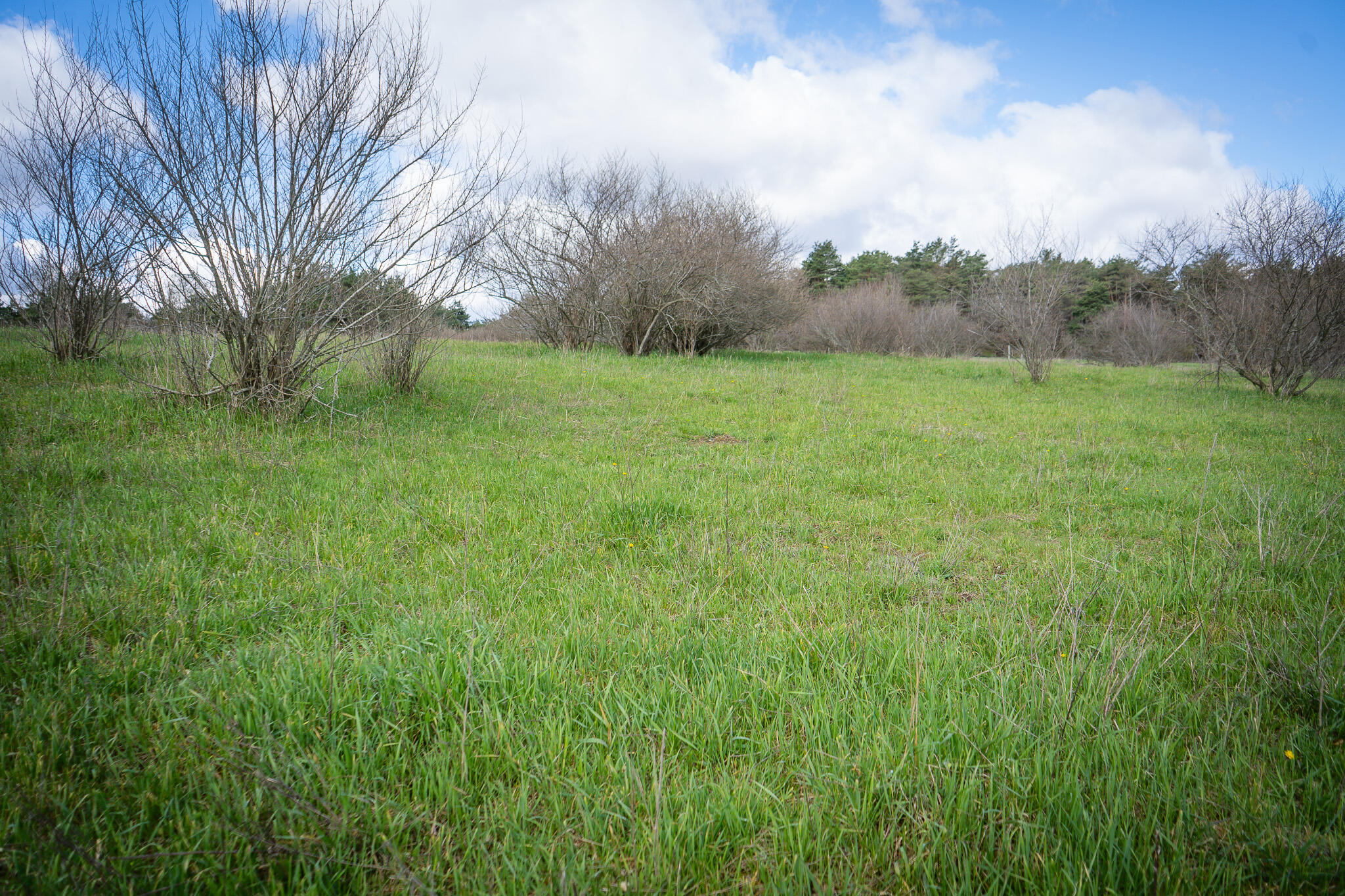 V/l South 230th Avenue Reed City, MI 49677 - Photo 33 of 38 DSC08169