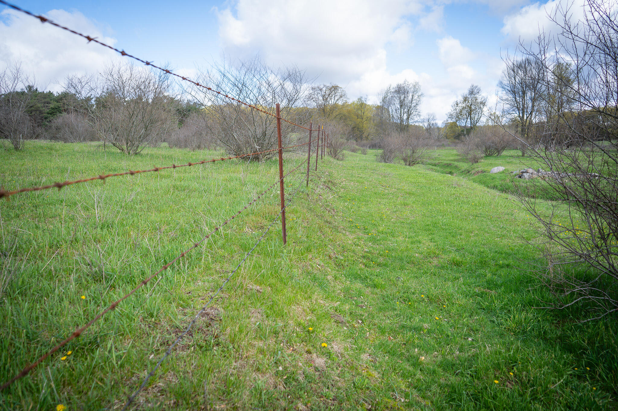 V/l South 230th Avenue Reed City, MI 49677 - Photo 34 of 38 DSC08170