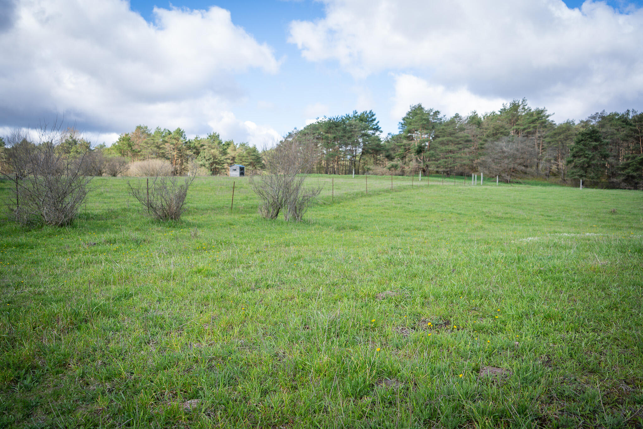 V/l South 230th Avenue Reed City, MI 49677 - Photo 35 of 38 DSC08171