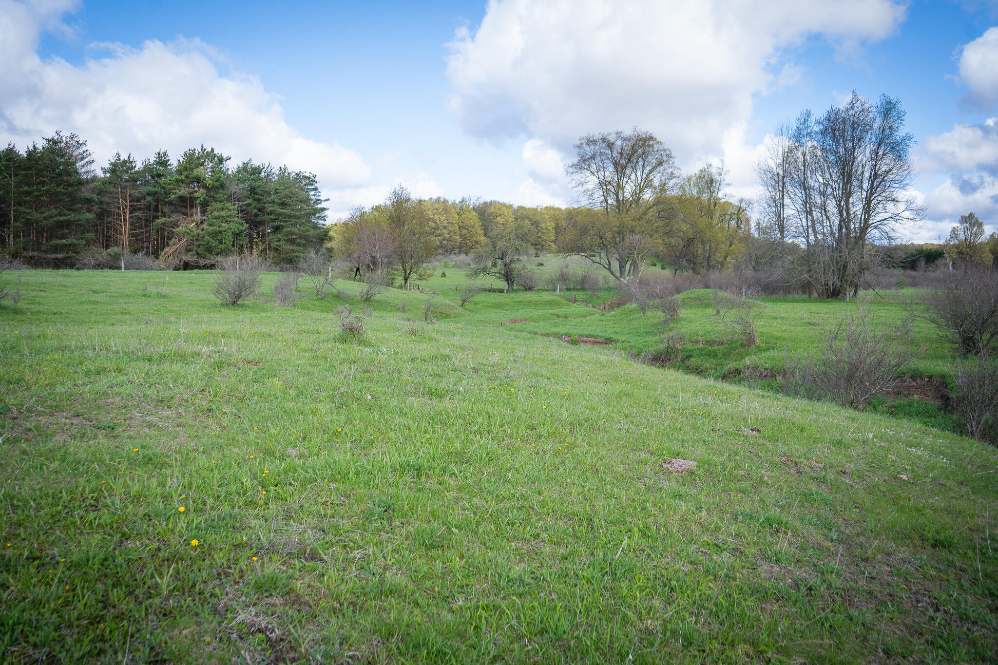 V/l South 230th Avenue Reed City, MI 49677 - Photo 36 of 38 DSC08172
