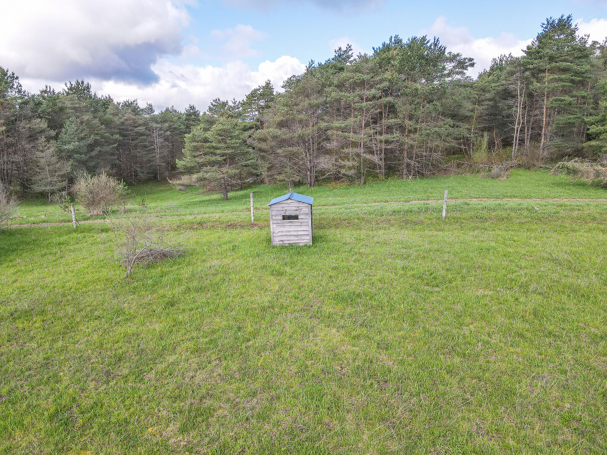 V/l South 230th Avenue Reed City, MI 49677 - Photo 5 of 38 DJI_0009