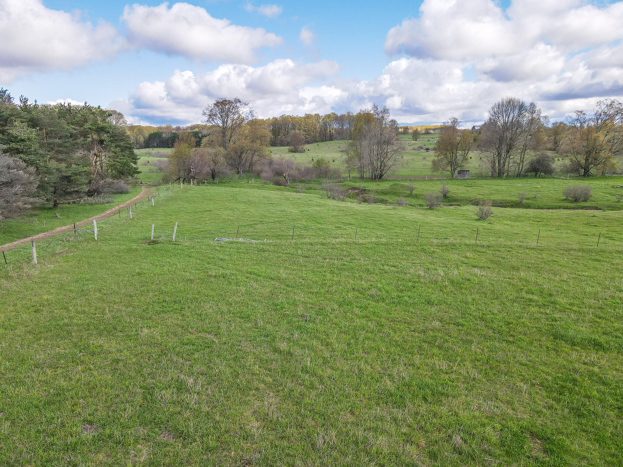 V/l South 230th Avenue Reed City, MI 49677 - Photo 7 of 38 DJI_0013