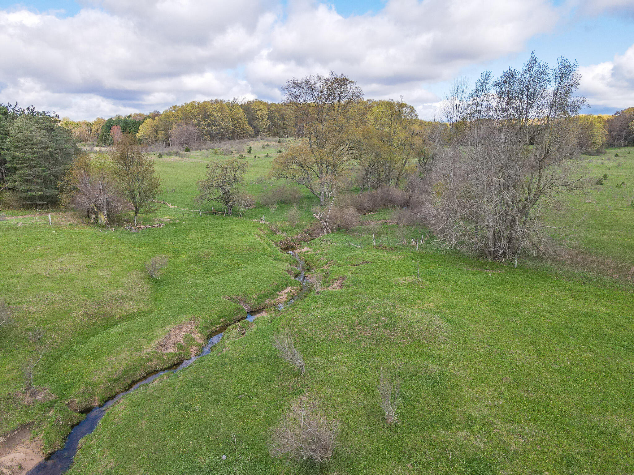 V/l South 230th Avenue Reed City, MI 49677 - Photo 9 of 38 DJI_0015